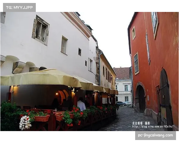 匈牙利甲级联赛决赛第三场分析：维斯普雷姆如何破解布达佩斯防守